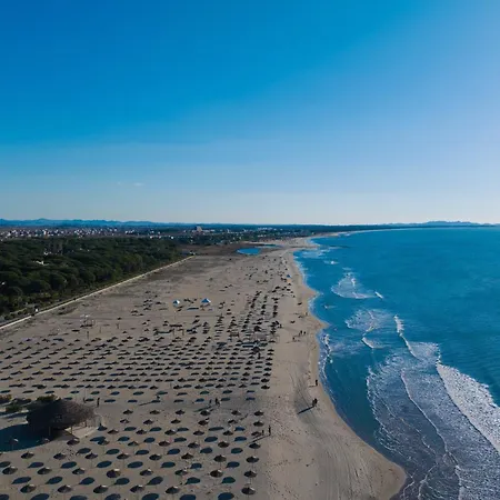 Olive Tree - Happy Appartement