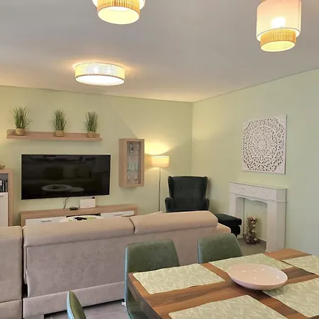 Olive Tree - Happy Plazhi San Pietro