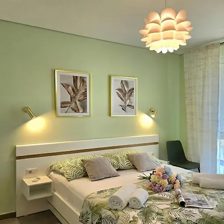 Olive Tree - Happy * Plazhi San Pietro