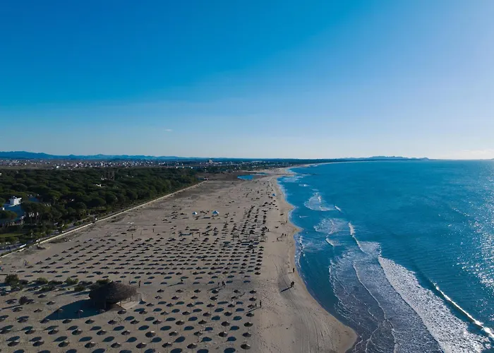 Olive Tree - Happy Apartment